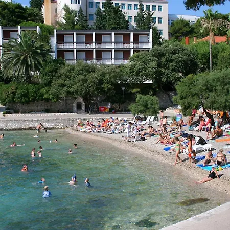 With Swimming Pool Hvar - 22431